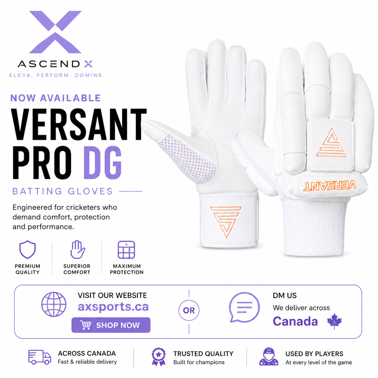 VERSANT Batting GLOVES PRO DG